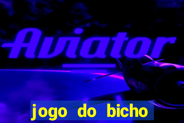 jogo do bicho crash bingo